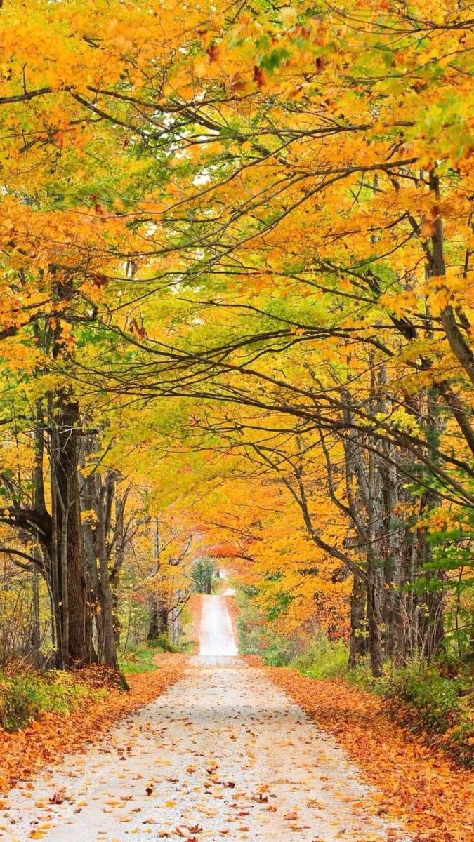 Nature Lover🌎 tweet media