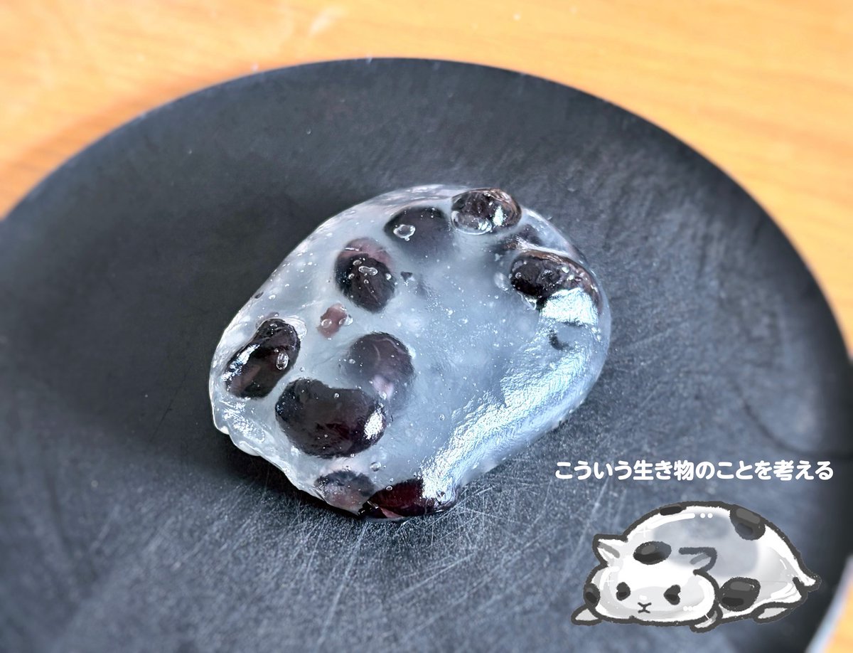_tabane's tweet photo. 成寿庵の「黒豆水晶」というお菓子を催事で見かけるたびにそのパラレル豆大福みたいなビジュアルにびっくりして買う　ぶるんとむっちりしててうまい https://t.co/z613rE4OOV