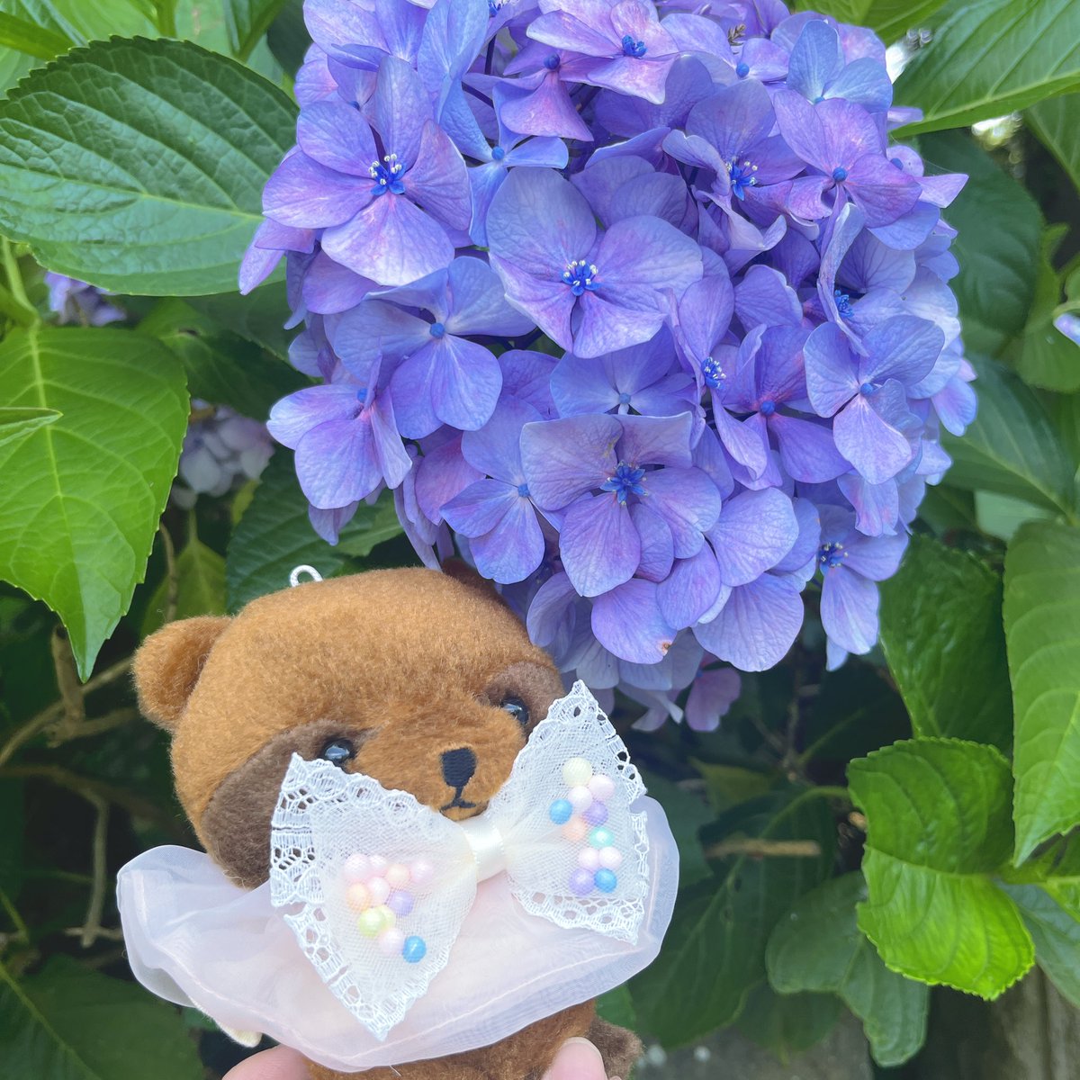 lemonade0920's tweet photo. 紫陽花とお団子とかき氷と…♡

#ぬい撮り #ぬい活 https://t.co/Xa7p4E0ule