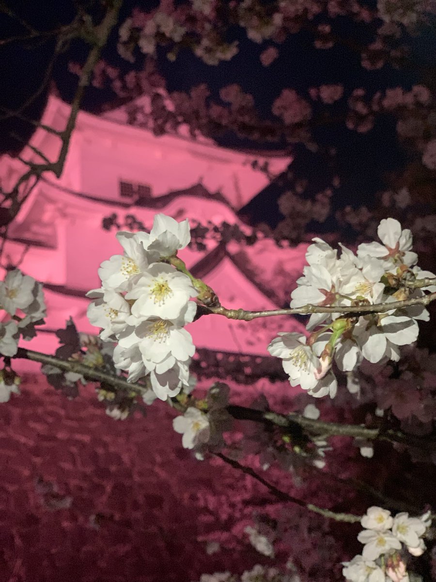 noriko_98's tweet photo. #彼氏募集中
  #三重 https://t.co/PuJdtQ4VUe