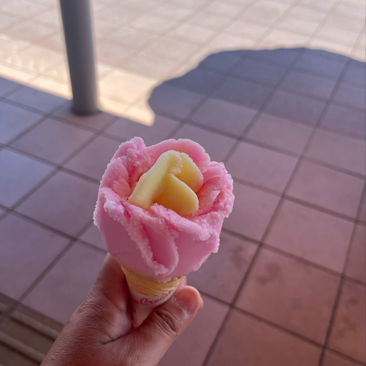 11TOMOp's tweet photo. 先日の日曜日、"おがなまはげワンニャンカーニバル"に行って来ました🐩
肝心のワンコの写真が無くて😌
久々に食べたババヘラ美味かった〜🌹
てかわたし、200円時代しか買ったことなかった！いつの間に300円😳
今年は本番の竿燈多分見れないから見れて良かった〜🏮 https://t.co/2TvZo17ivl