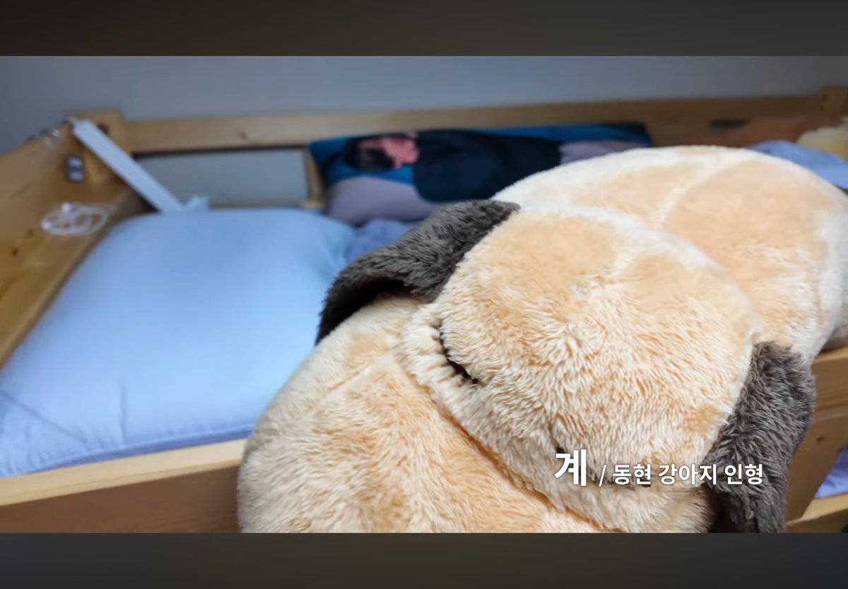 omuricedang's tweet photo. 계 입양 희망함
제 꿀린이랑 같이 자께요 ㅠ https://t.co/ptwyg3pjbh