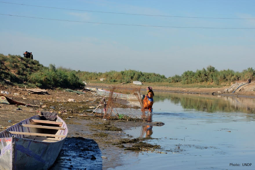 UNDPArabStates's tweet photo. Prolonged drought &amp; environmental degradation have severely affected the marsh ecosystem. 

On #DesertificationAndDroughtDay, learn how @UNDPinIraq is collaborating with Canada and Ministry of Water Resources of Iraq to restorate Iraqi Marshes &amp; Wetlands https://t.co/q7BPDfafLz https://t.co/ciHsYyQ7bh