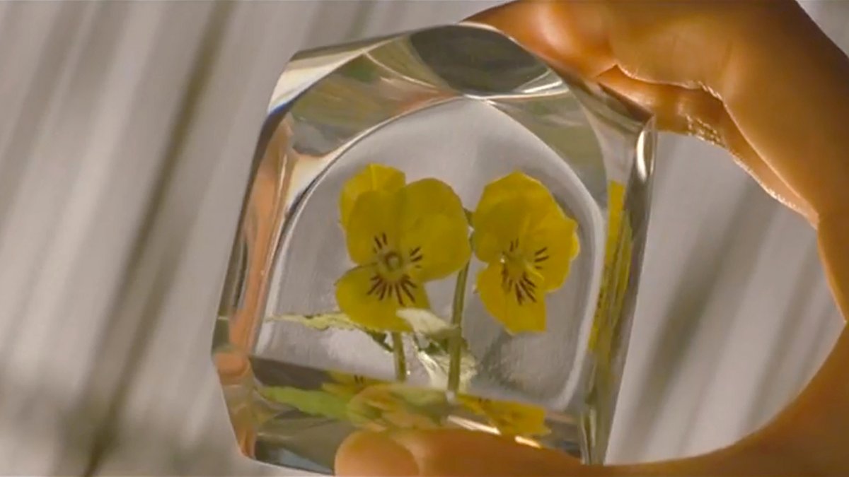 enclosedpain's tweet photo. ⠀
⠀ ⠀“when i see the flowers in full bloom,
⠀   ⠀i will remember everything instantly.”

hana (2003)
花
dir. shinichi nishitani https://t.co/N24ekFBhQo
