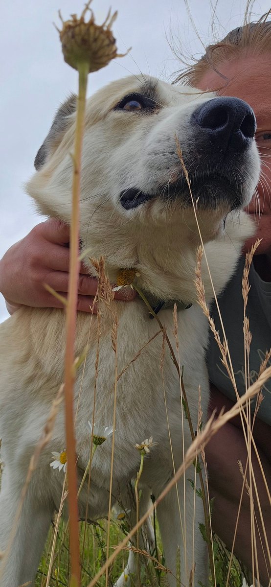 Ciacho tweet media