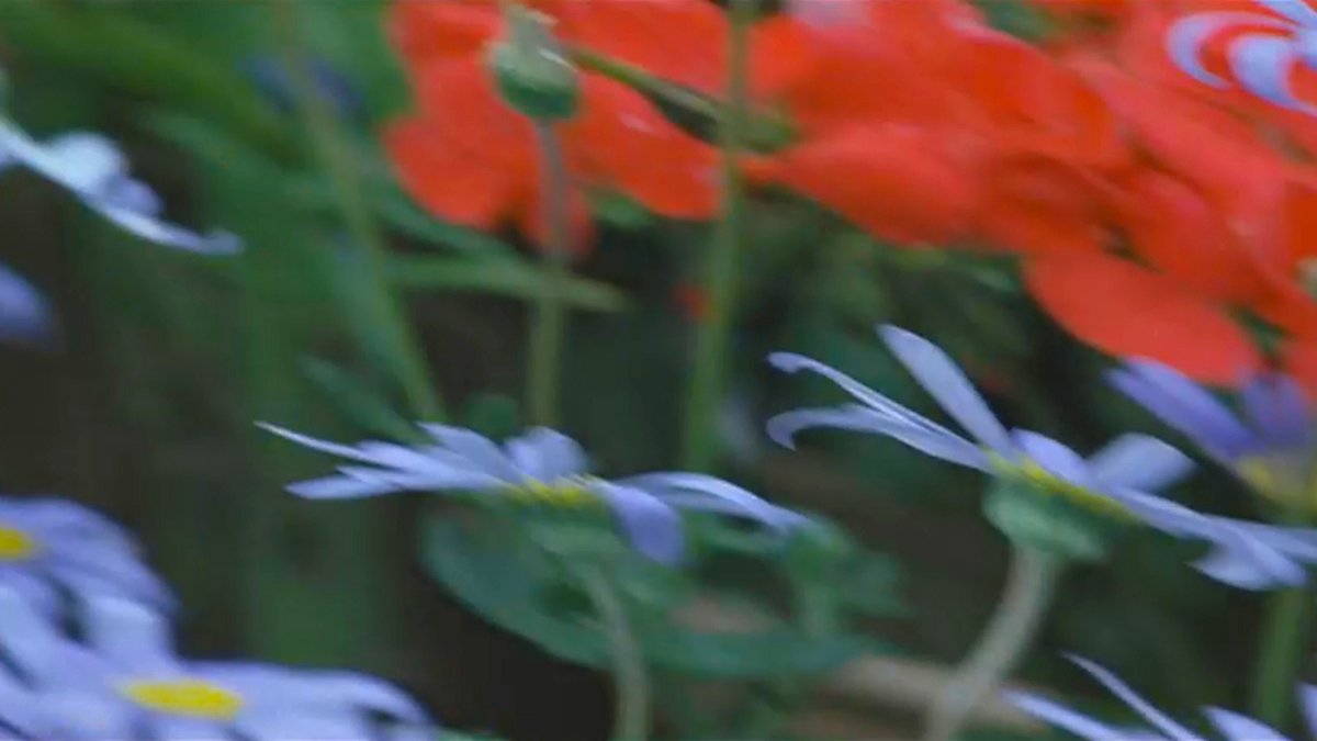 enclosedpain's tweet photo. ⠀
⠀ ⠀“when i see the flowers in full bloom,
⠀   ⠀i will remember everything instantly.”

hana (2003)
花
dir. shinichi nishitani https://t.co/N24ekFBhQo