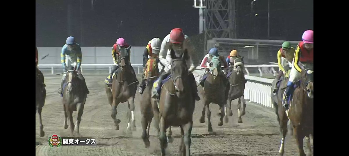 o5TxEZmF65aMIIp's tweet photo. @f5LIi3dFZn37282 #川崎競馬11R #関東オークス #jpnII
#岩田望来 騎手
#岩田康誠 騎手
親父には負けたくないって言っていた☺️ᩚいい意味でライバルなんだね︎ ︎💫 https://t.co/h1bWtDZLsg