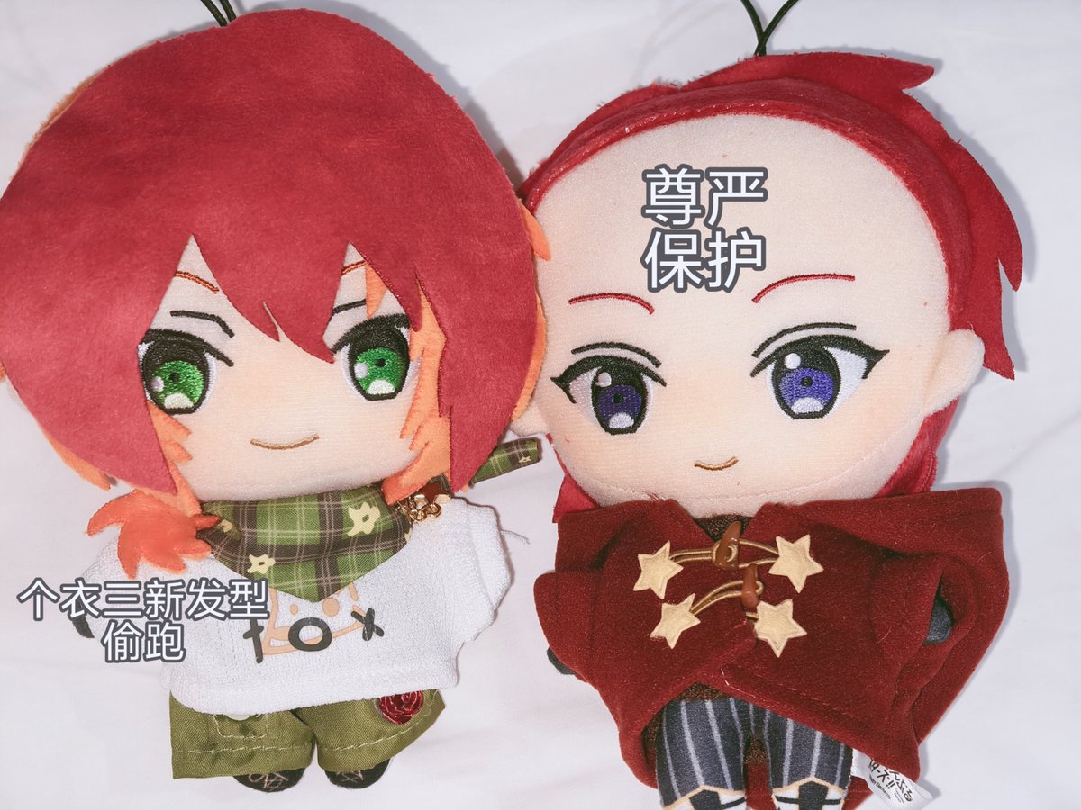 カラメル tweet media