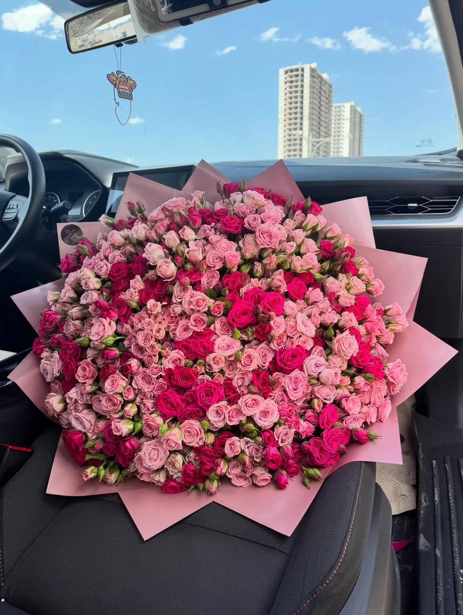 TheBeauty001's tweet photo. https://t.co/sA3XMmPhRT
