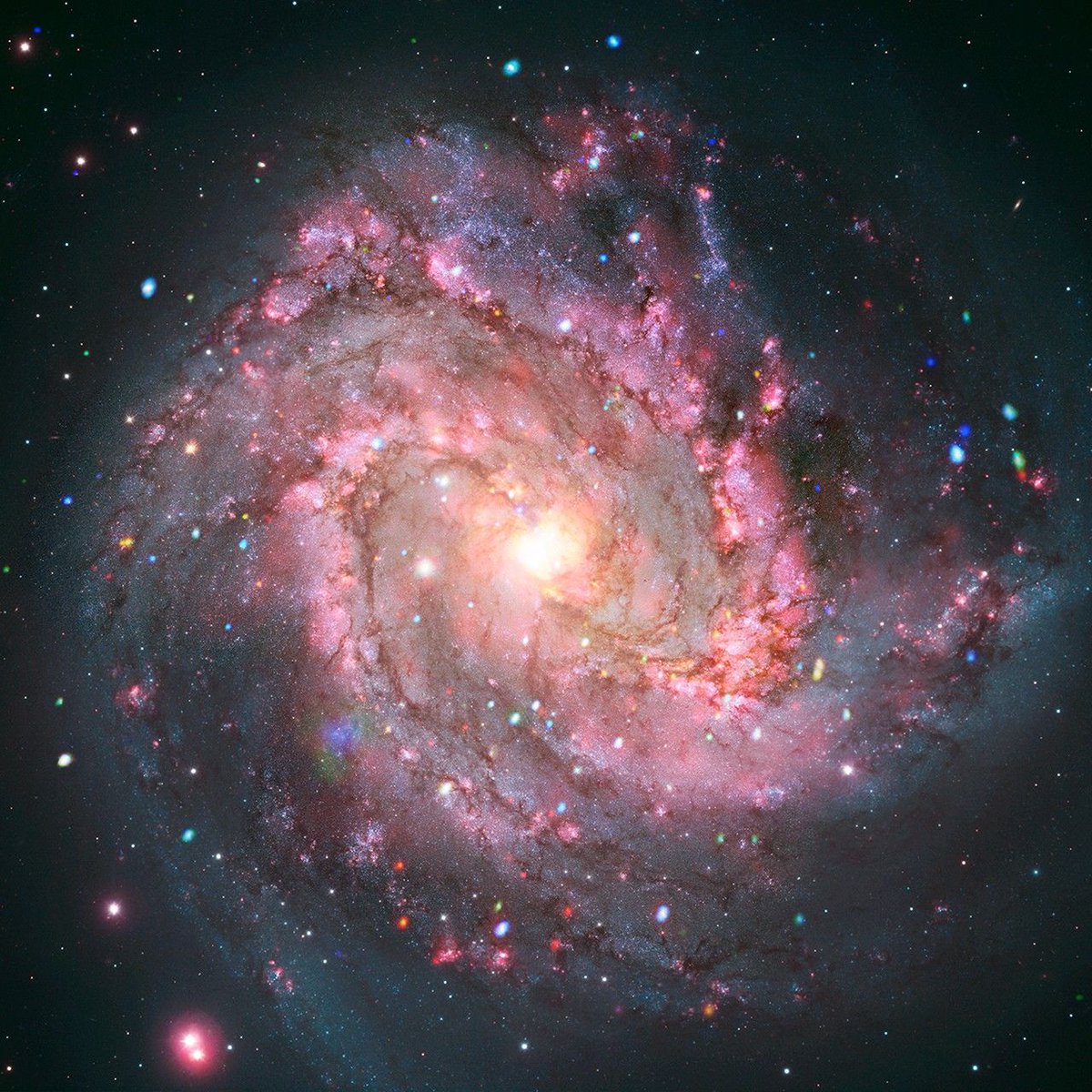 NASA_Marshall's tweet photo. The aftermath of a supernova is usually a slowly fading cloud of hot gas. However, after looking at observations from @chandraxray, astronomers found that some supernova remnants in galaxy M83 are dramatically changing in X-ray brightness.

MORE: https://t.co/EtNndxRxfm https://t.co/L1KLWJir4m