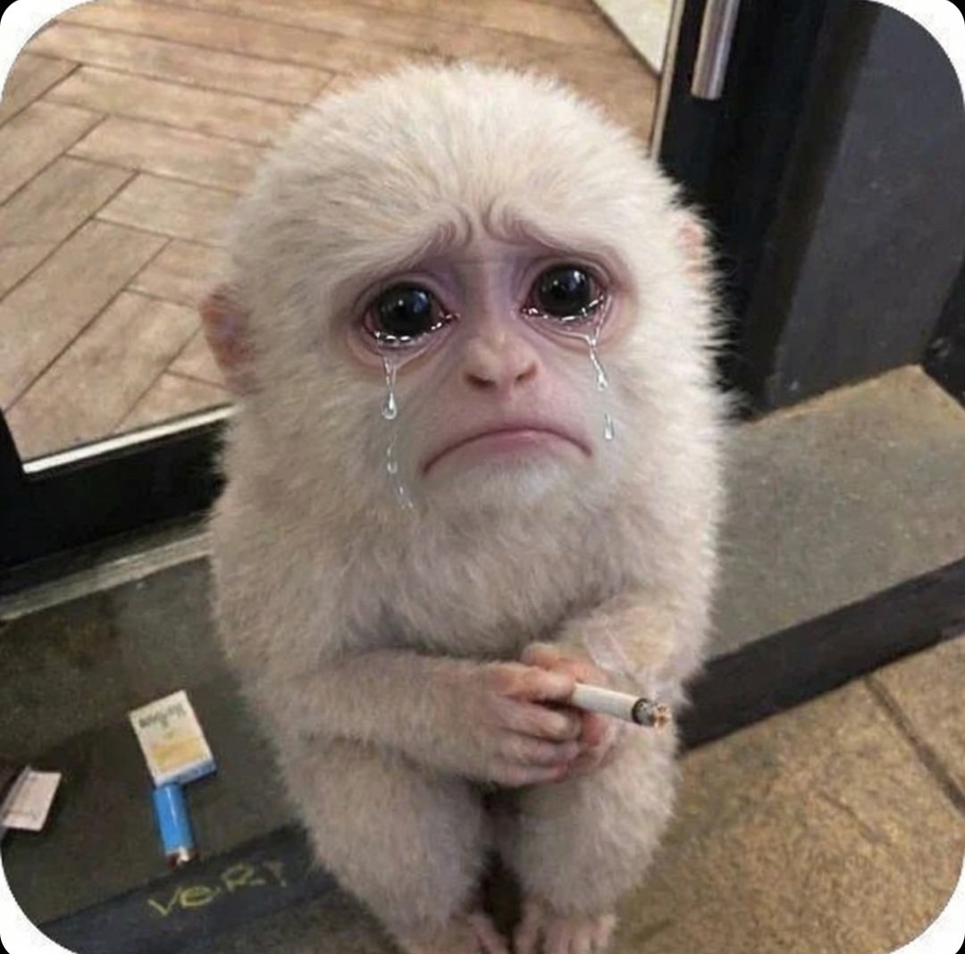okrodion's tweet photo. lost my BIS dps cloak to the healer in hardcore wow last night 

feelsbadman https://t.co/YH20wnIVJh