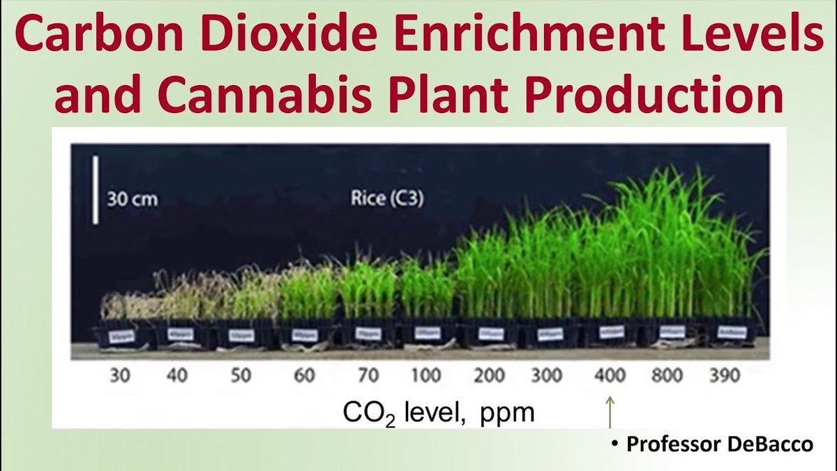 TonKuijper's tweet photo. @TomANelson @salamadreams I think 1200 ppm is best for nature and for us. https://t.co/VRCHXdwLQH