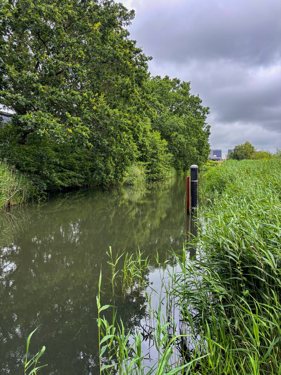JPKalkman's tweet photo. vanochtend vroeg begonnen met controle van #water peilen en deze middag een aantal gesprekken met sollicitanten! Super leuk om al die energie aan te horen want #werken voor het #waterschap is natuurlijk het leukste wat er is! 😄 https://t.co/irN5JYN5W7