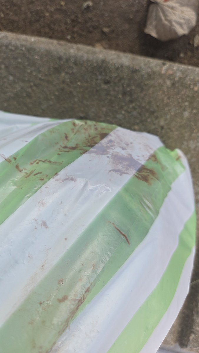 ant_lcs's tweet photo. Bravo @RappiMexico por tu pésimo servicio al cliente 

Me entregan un producto mal transportado (sin mochila), sin estar sellado, y sin posibilidad de cancelar mi pedido ya que el repartidor le había dado a entregado aún cuando no quise el pedido

Y soporte no sirve, cancela auto https://t.co/aGFOIU3TwK