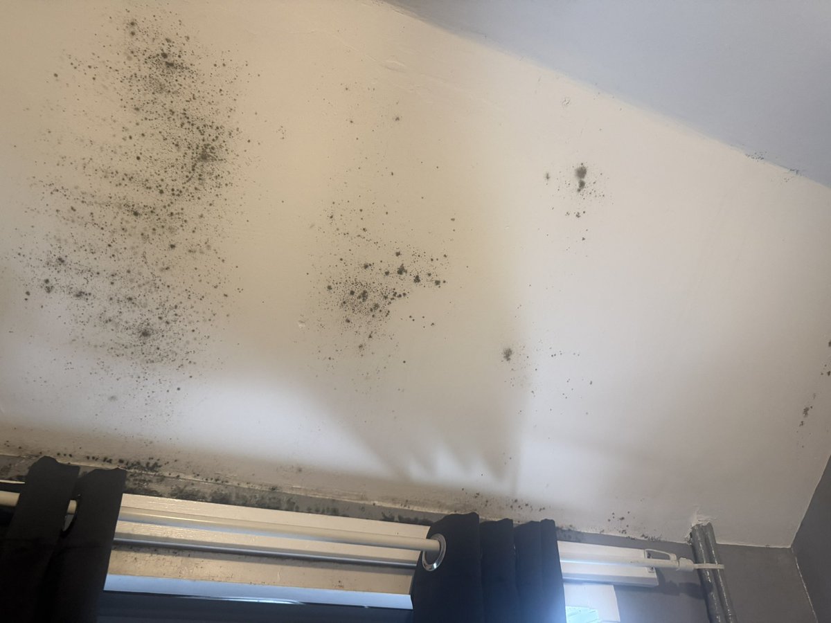 RochTS's tweet photo. You completely ignored your own surveyor’s report and failed to initiate the Cedarcare survey. Covering up structural issues with a lick of paint doesn't work it's taking over the ceilings and window frames. This is neglect. https://t.co/z89xQljOYA