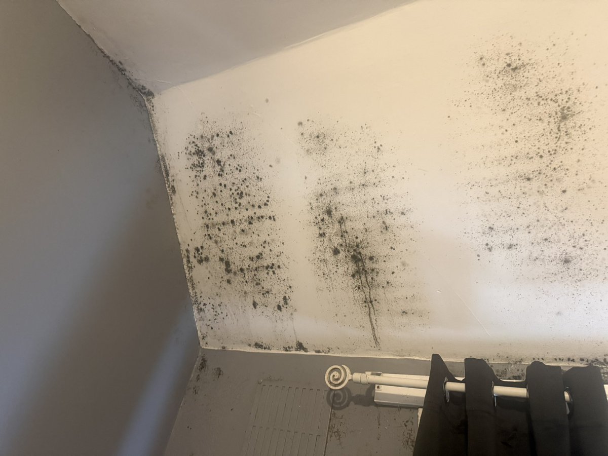 RochTS's tweet photo. You completely ignored your own surveyor’s report and failed to initiate the Cedarcare survey. Covering up structural issues with a lick of paint doesn't work it's taking over the ceilings and window frames. This is neglect. https://t.co/z89xQljOYA