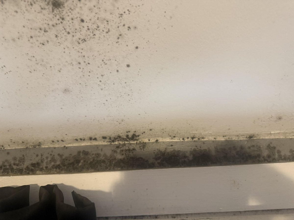 RochTS's tweet photo. You completely ignored your own surveyor’s report and failed to initiate the Cedarcare survey. Covering up structural issues with a lick of paint doesn't work it's taking over the ceilings and window frames. This is neglect. https://t.co/z89xQljOYA