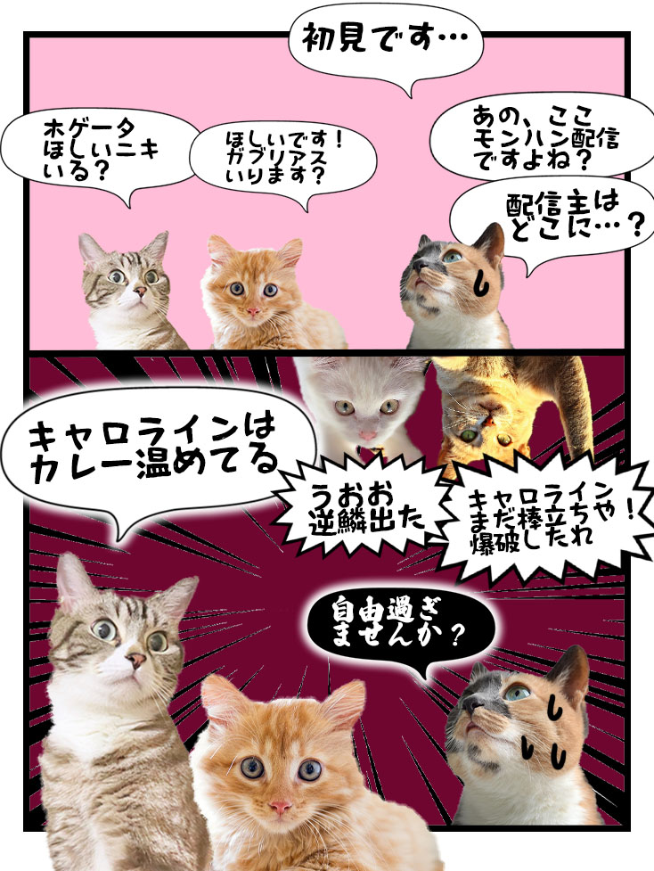 midorimacarol's tweet photo. 放課後の友達の家 https://t.co/CnPAiexCO2