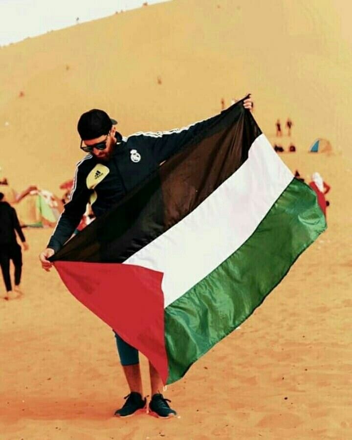 Naila Ayad๐ต๐ธ tweet media
