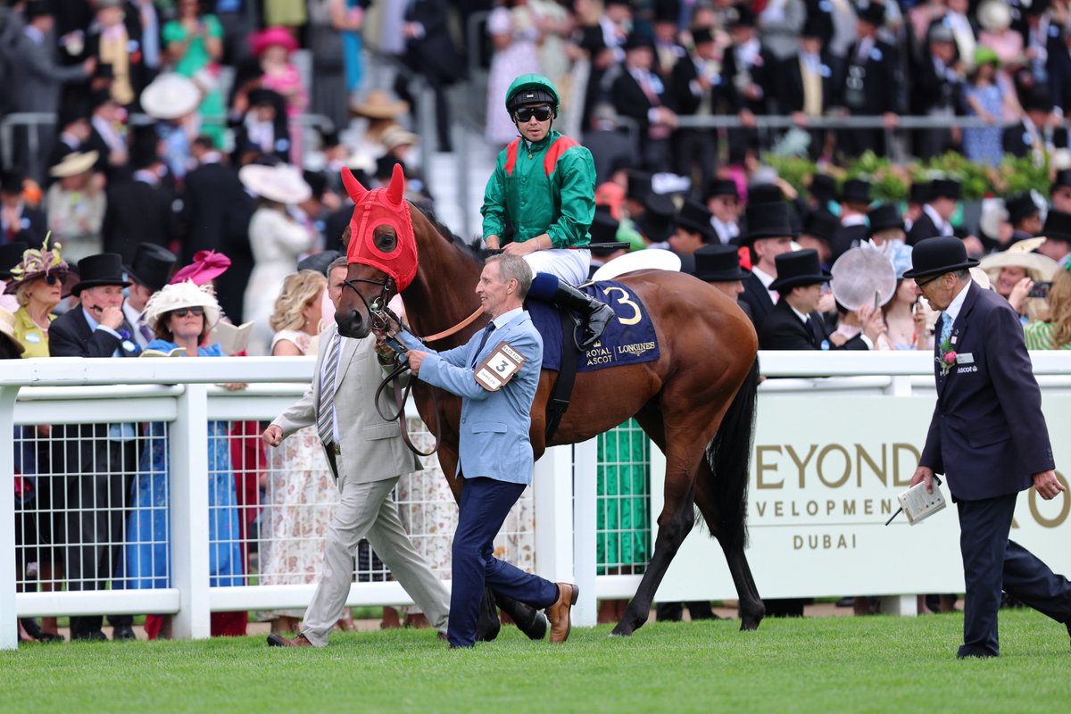 こちらはプリンスオブウェールズSで3着だった、昨年の凱旋門賞馬ダリズ