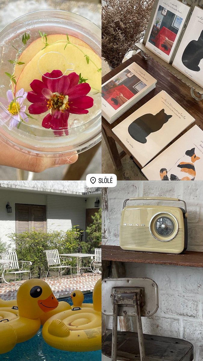 chtmnmk's tweet photo. 🍵✨🤳 https://t.co/fMAgHamkC1