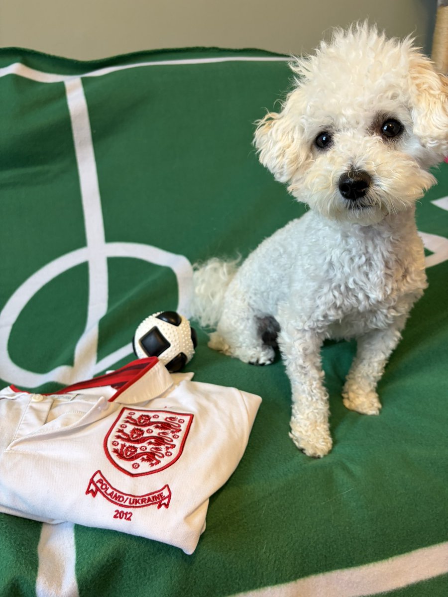 _AmyZena's tweet photo. @SkySports #ssnthreelions https://t.co/39nnYamNZM