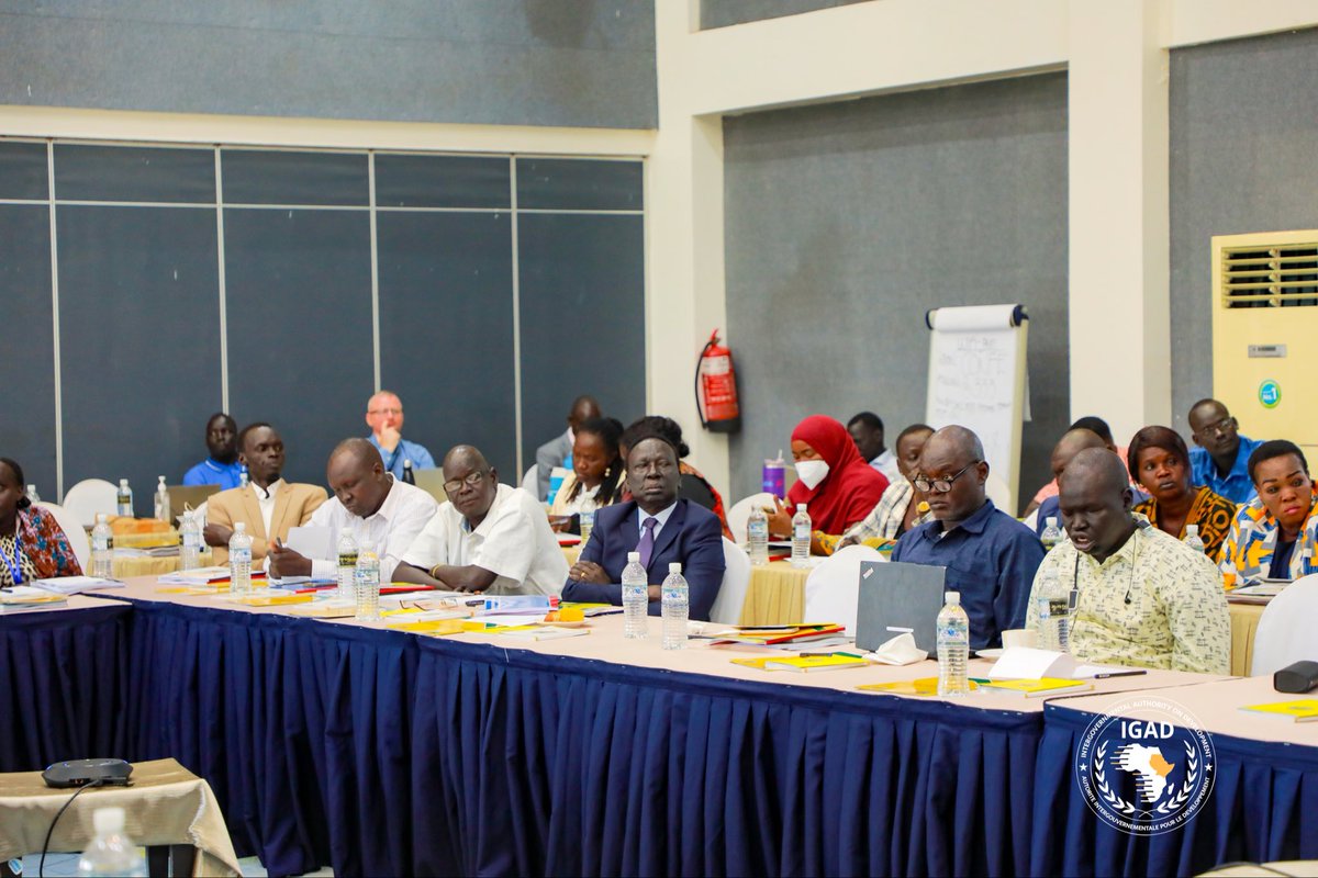 IGAD Peace and Security Division tweet media