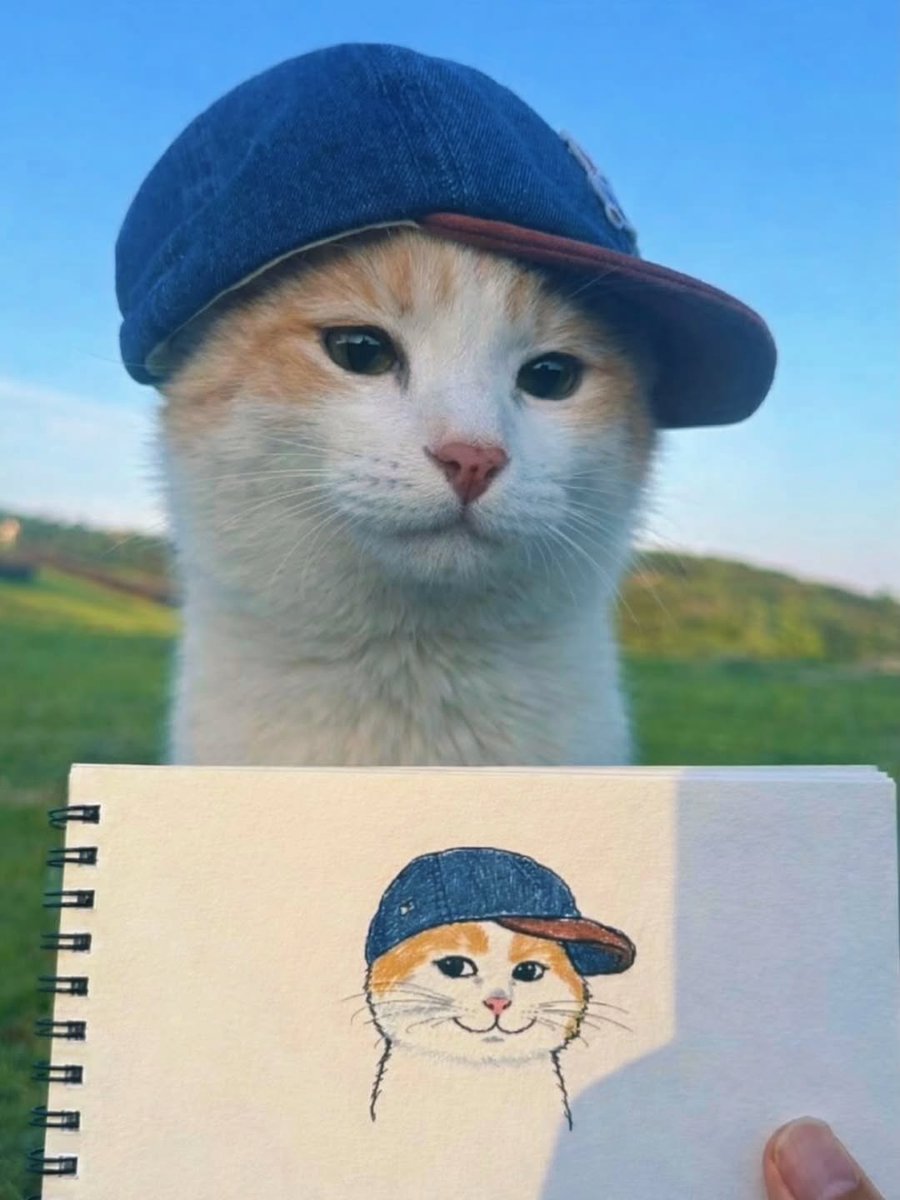 Catsillyness's tweet photo. https://t.co/PNupcYumZA