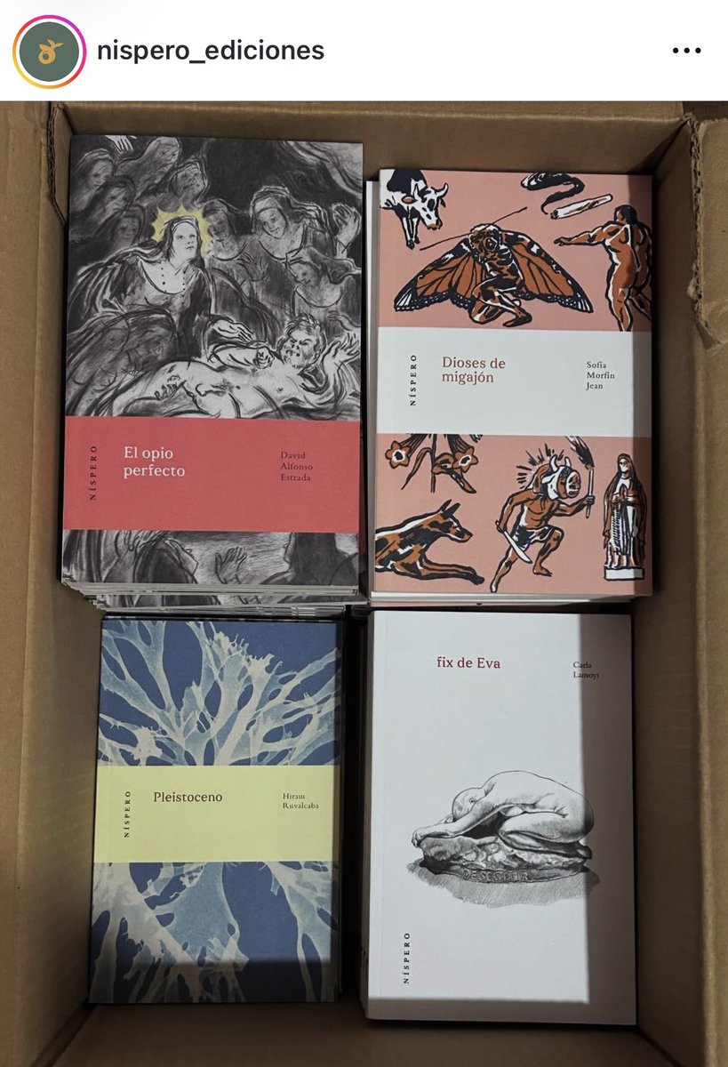 El_Neb's tweet photo. Ah, qué gran iniciativa... libros para leer en las salas de espera del @AICM_mx. 

Pero, ¿a quién puede interesarle este libro esperando su vuelo? 

Neta que si quieren, yo les facilito libros de Níspero, nueva literatura mexicana innovadores y valientes. https://t.co/UetQwNXI1H