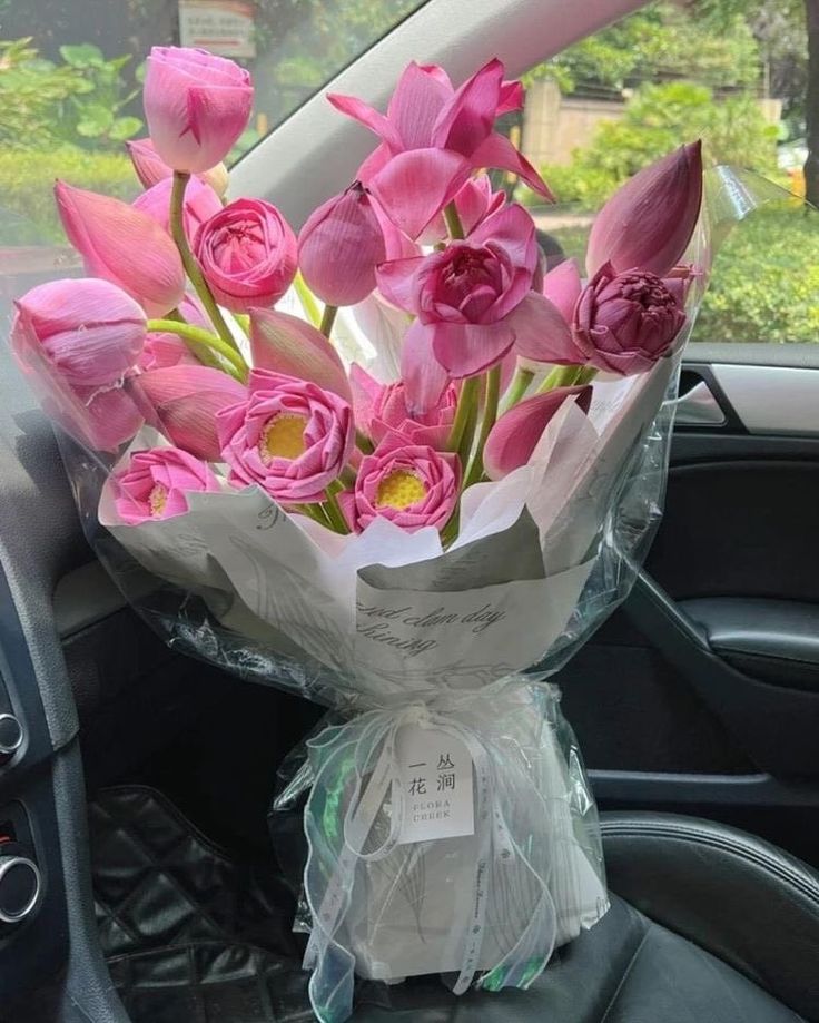 Shahmeerfbh's tweet photo. lotus flowers https://t.co/BaZdiKJmjg