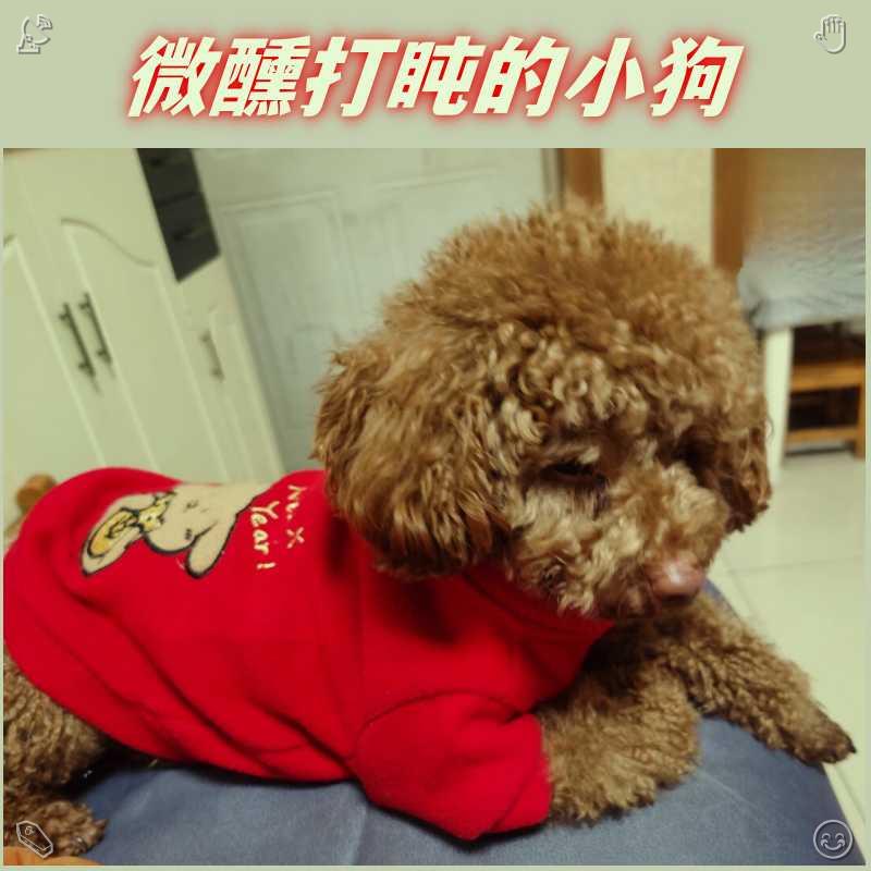ShinkleOSU32's tweet photo. Lola laughed at Mia's remark and continued scrolling through photos. She spotted the Polaroid Jax took of her with the sunflower and taped it to her fridge to remember that perfect day. https://t.co/mbHTOEmApJ