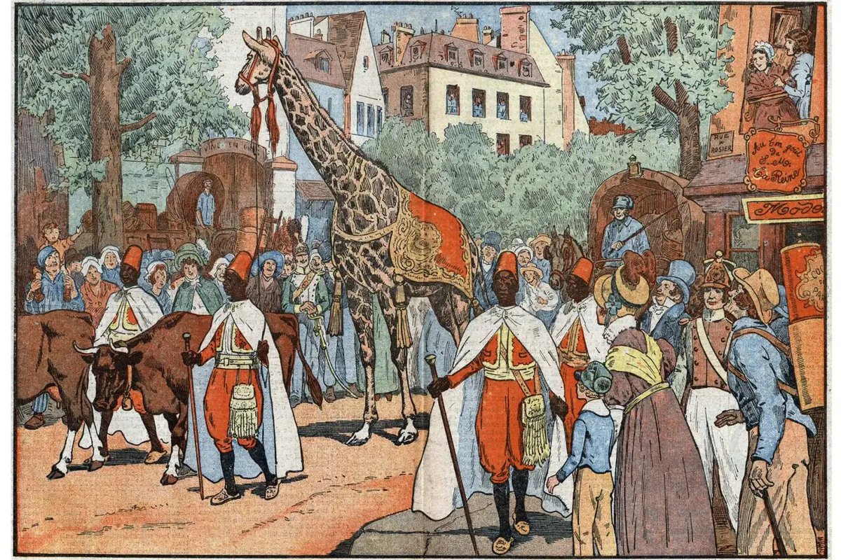 stefdesvosges's tweet photo. le 19 juin 1844 décès à Paris d'Étienne Geoffroy Saint-Hilaire naturaliste, en 1827 il est chargé d'accompagner de Marseille à Paris la girafe Zarafa  offerte au roi Charles X par le pacha d'Égypte Méhémet Ali, 19e division du cimetière du Père Lachaise https://t.co/iFqufVnx6z