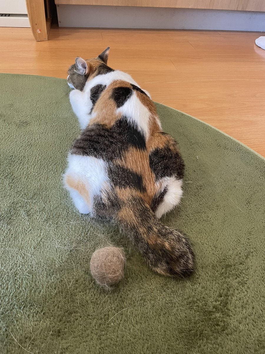 わさこ tweet media