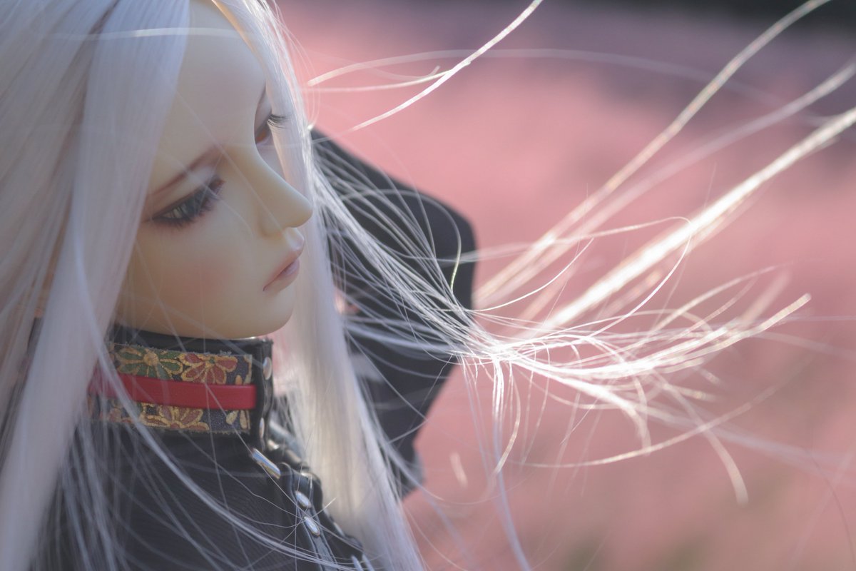subabababa586's tweet photo. #思わず生きていると感じたドール写真を見せて下さい https://t.co/b7UFAp63kz