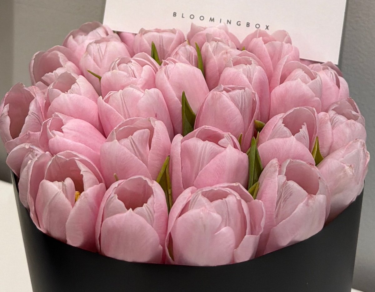 Amna9x's tweet photo. بنك دمبز 💕🎀 https://t.co/ZOxi4WTUz9