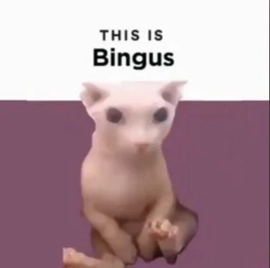 wewuzbig's tweet photo. whos pumping bingus?

AmqU7xrW8RMswHdcve7jE1dk7uD9ByudSfmBJrx8hBvH https://t.co/iiZTU2rmeh