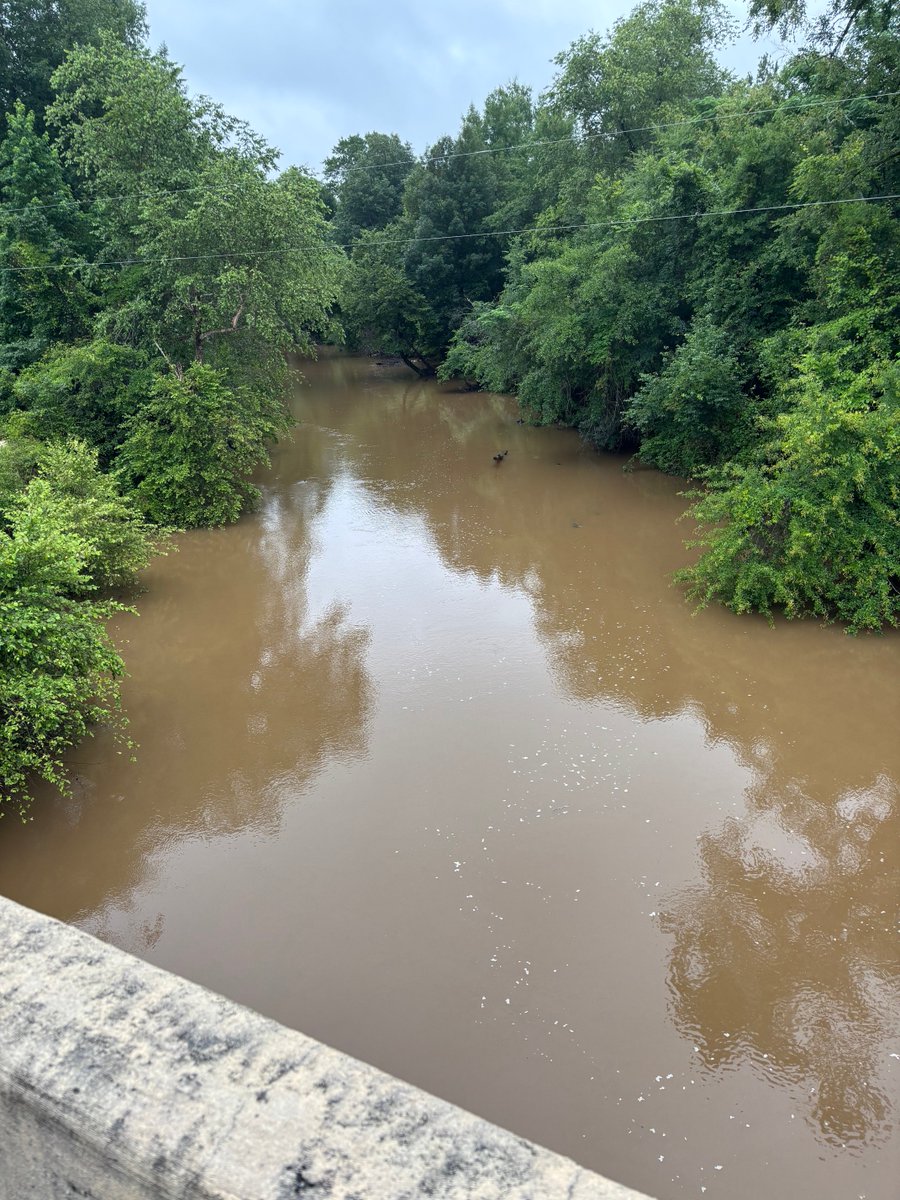 wrcannon2's tweet photo. The lower Chewacla is high and muddy this morning Macon County, Alabama @spann https://t.co/0J2uBN0AFy