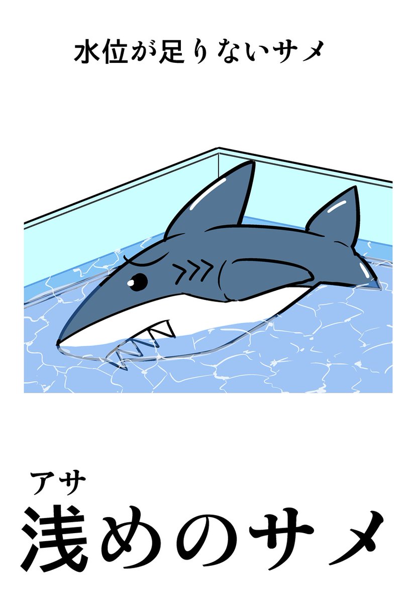 サメのイラスト(2点) 