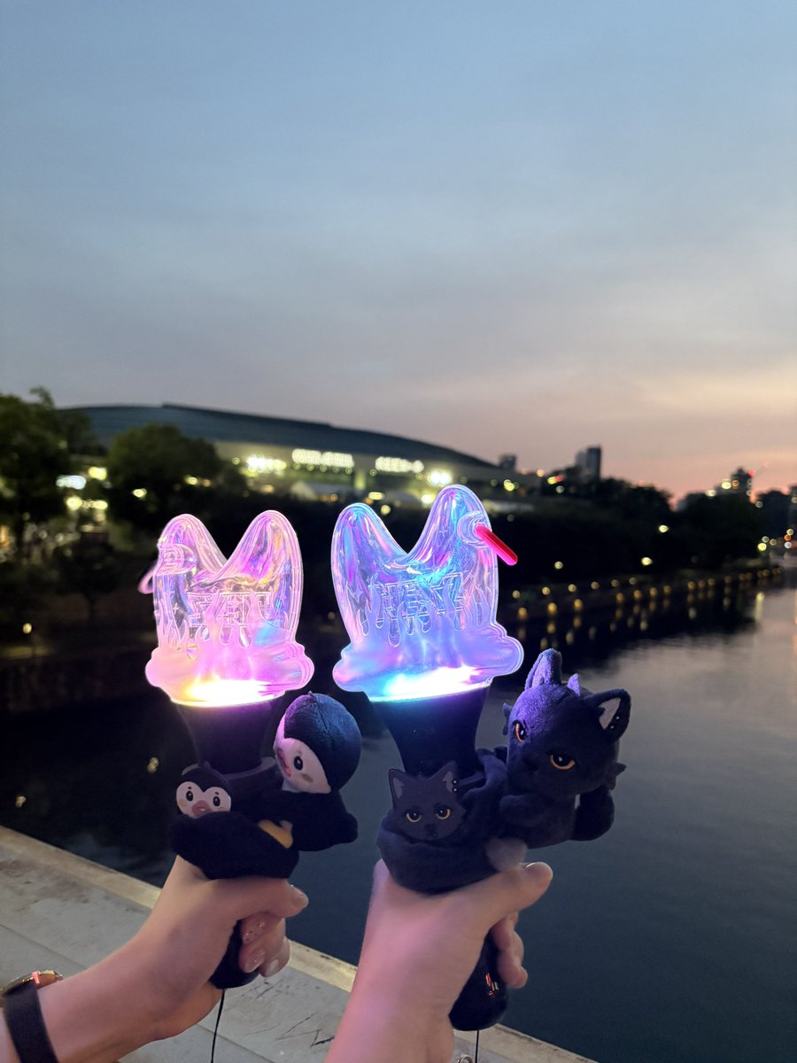 saaae42's tweet photo. ちなみに私はまだライブとペンサの余韻から抜け出せていない
仕事中もずっとふわふわしてる笑
ロスすごすぎるーーーーー
アリツ4公演分の写真載せておく
#NEXZ https://t.co/4eyFVikDD8