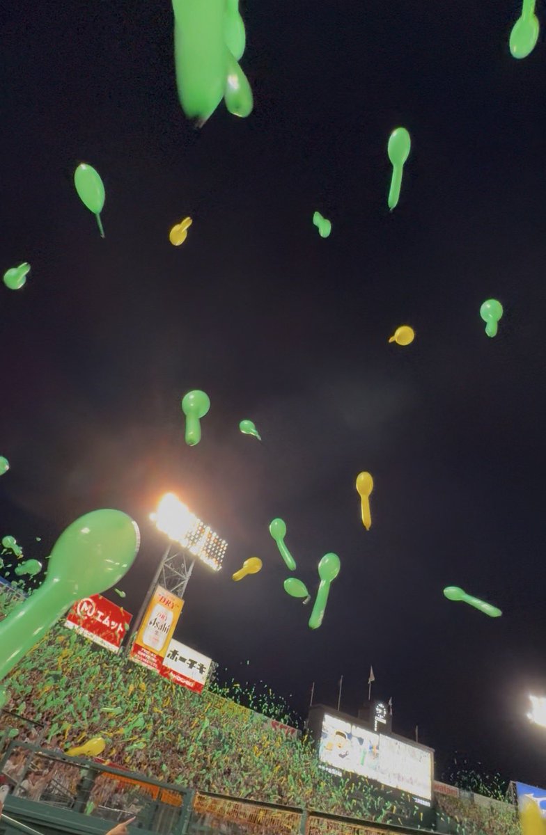 yngluv10's tweet photo. 大山のホームラン近くで見れたし勝てて良かったし久しぶりの甲子園楽しすぎた~ https://t.co/bhsYaJynvh