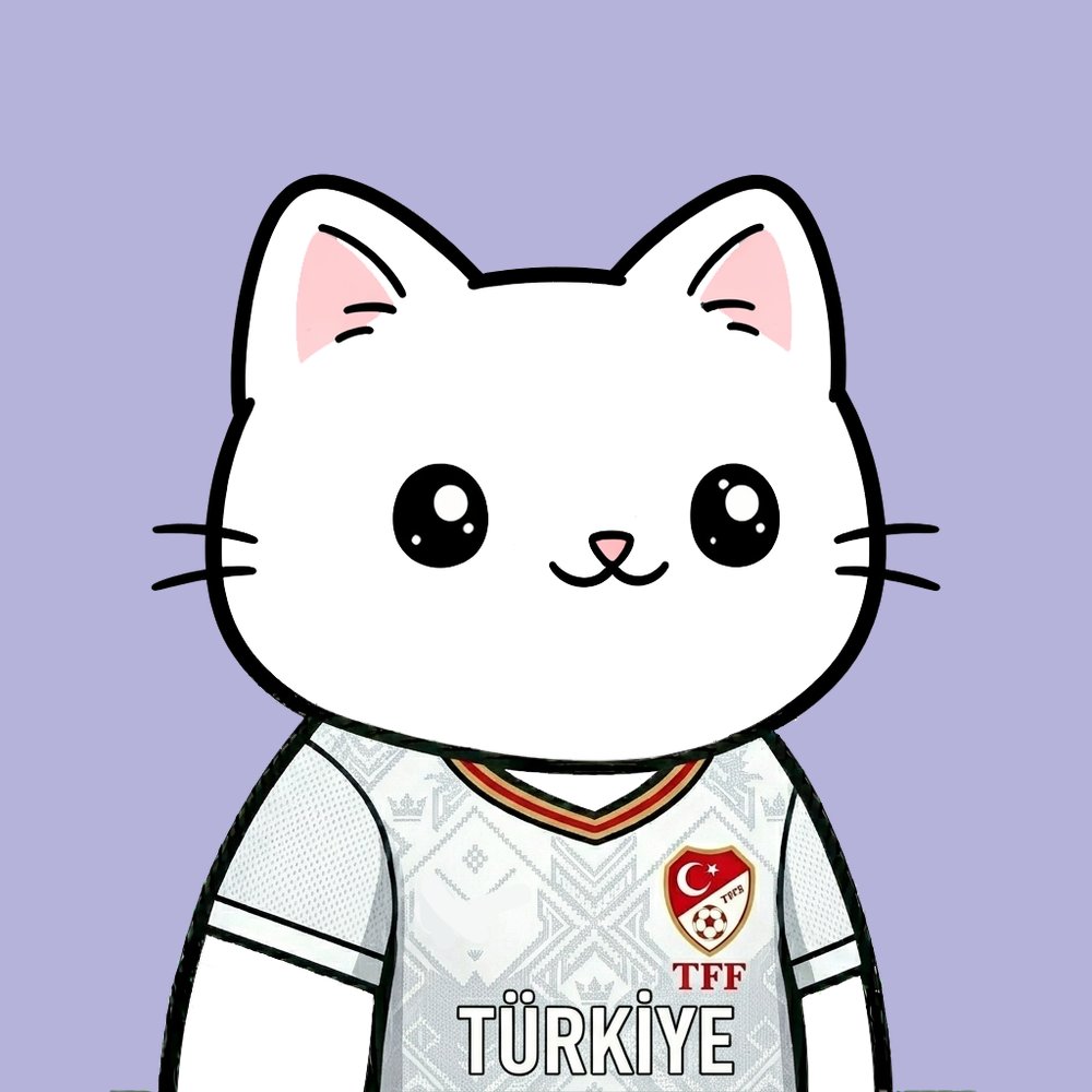 WorldCupKittens's tweet photo. Who's going to win this match?👀 #turkey #paraguay #worldcup #kittens https://t.co/HnwW6XrHRn