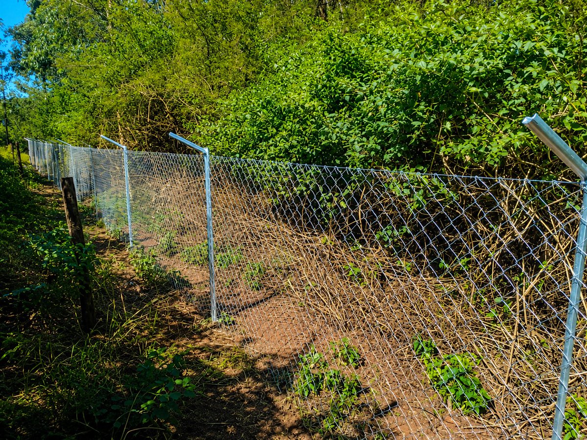 LyntechFencing's tweet photo. Another successful project completed by Lyntech Fencing! ✅
This Diamond Mesh Fence with Barbed Wire Top provides the perfect balance of security, durability, and affordability. Protecting properties one fence at a time.
📞 Contact us today for a free quotation. https://t.co/8p5cOdYBSK