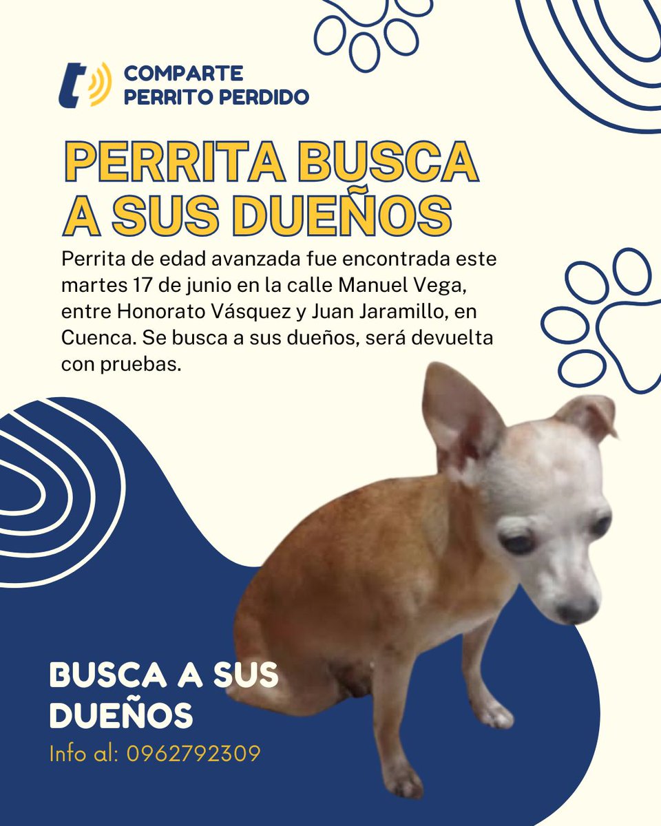tomebamba's tweet photo. SERVICIO SOCIAL

Una perrita de edad avanzada fue encontrada en la calle Manuel Vega, entre Honorato Vásquez y Juan Jaramillo, en el centro de Cuenca. El animal camina con dificultad y estuvo a punto de ser atropellado.
Se solicita a sus dueños comunicarse al número 0995128051. https://t.co/hySFwyIjvF