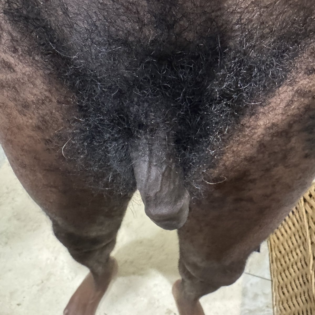td4b's tweet photo. It’s the summer time to  trim https://t.co/Djv28LPydo