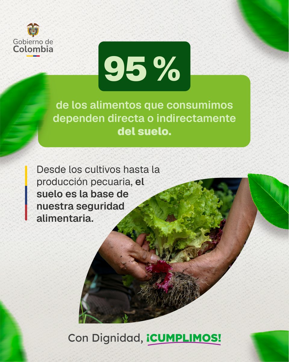 igacColombia's tweet photo. 🌱🍅 Mucho antes de llegar a nuestra mesa, los alimentos comienzan en el suelo.

Este recurso fundamental sostiene la producción agrícola y el trabajo de millones de campesinos que día a día alimentan a Colombia. 🚜🌾

Desliza para descubrir por qué conocer, proteger y aprovechar adecuadamente los #SuelosParaLaVida es clave para la seguridad alimentaria. 🤎✨