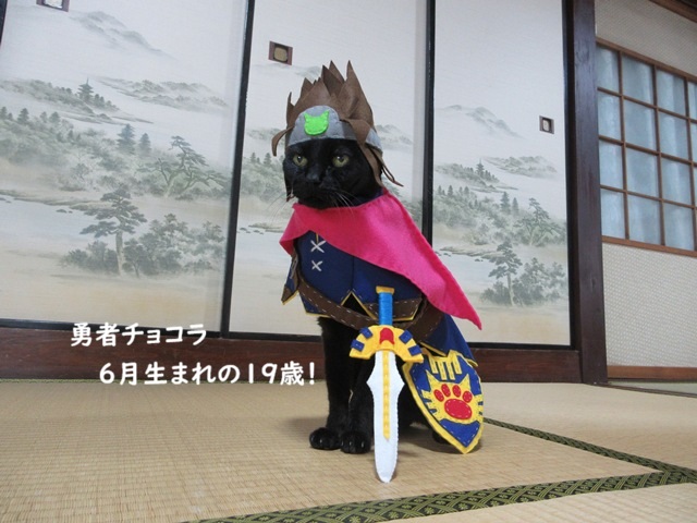 kigurumicyokor1's tweet photo. パララパッパパ～♪
チョコラはレベルが１９に上がった！ヾ(≧▽≦)ﾉ https://t.co/ZaJODvWeiJ