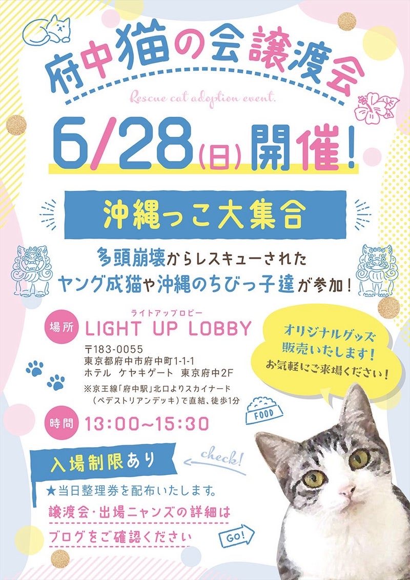 fuchu_nekonokai's tweet photo. 6月28日譲渡会開催です✨
沖縄からお空を飛んでやってきた猫達が、張り切って参加します✈️🧡
是非お越しください☺️ https://t.co/Axq6qQPgs1