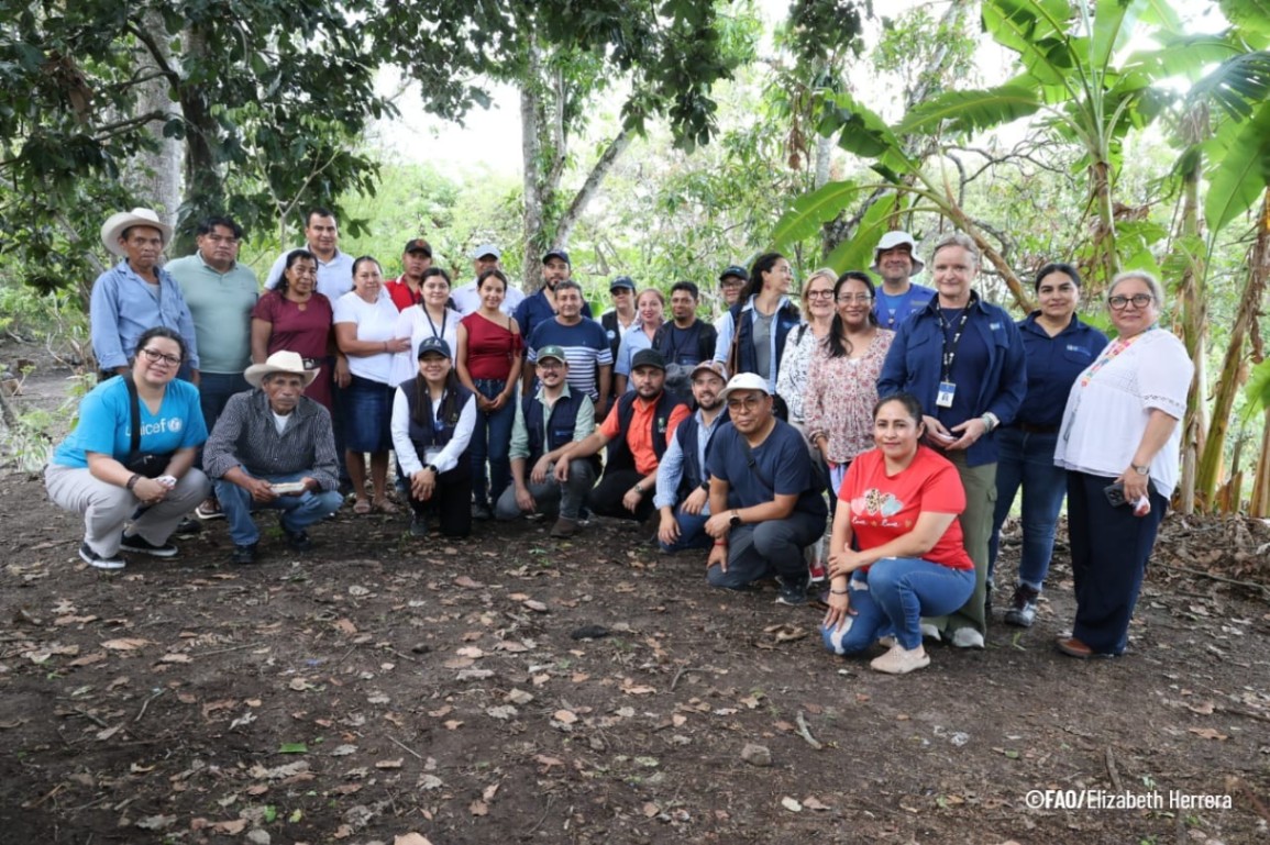 FAOGuatemala's tweet photo. 📍Una misión de 🇸🇪@SwedeninCA, socio financiador del Programa Conjunto de @ONUGuatemala que fortalece la resiliencia de los hogares en el #CorredorSeco, se encuentra en territorio para conocer en campo los avances del programa. 
🧵1/6 https://t.co/niOsN8Am4Q