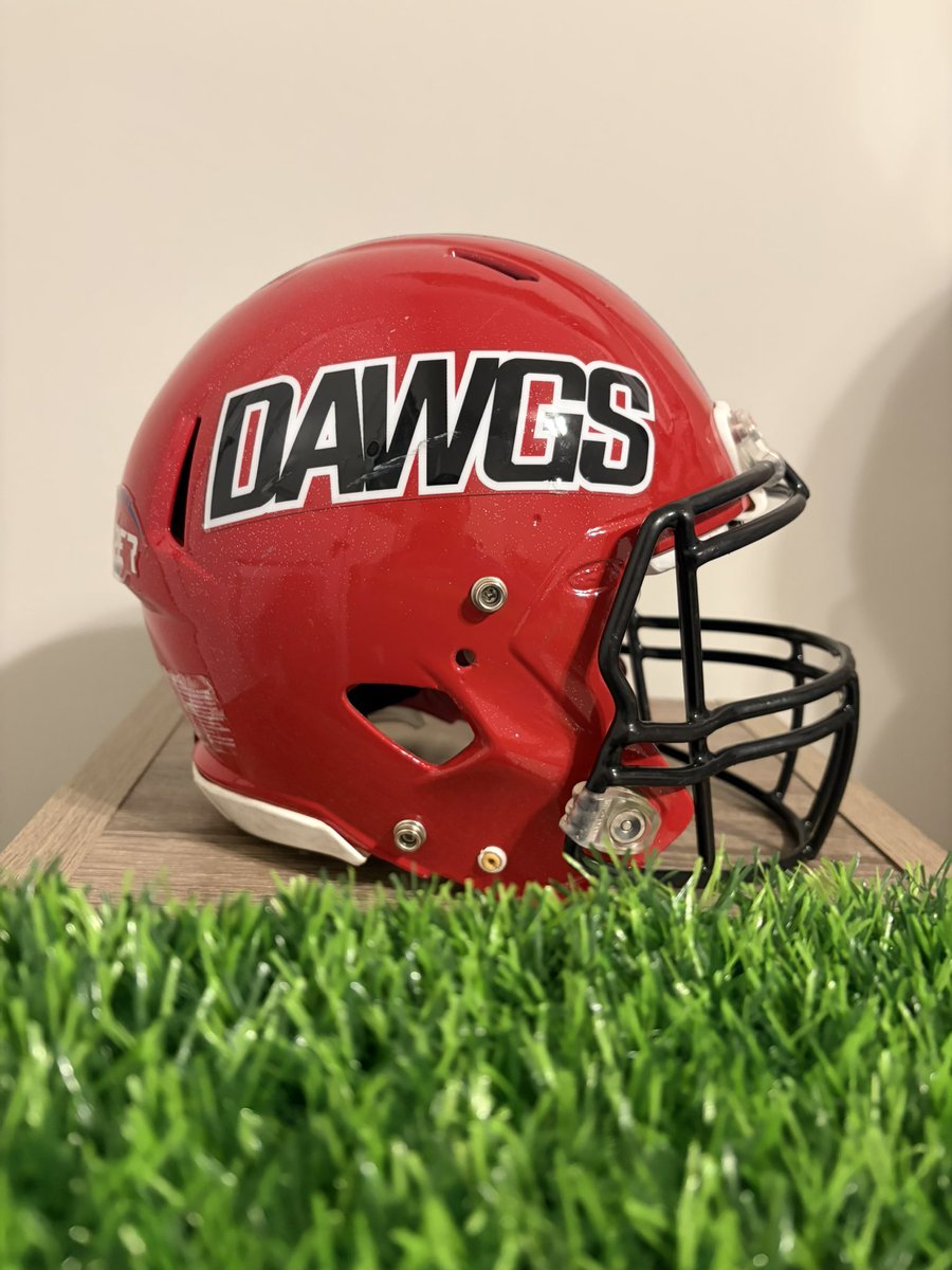 ALHS Helmets tweet media