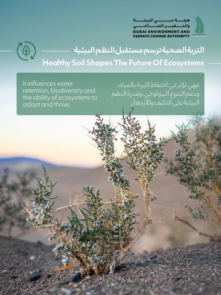 deccadxb's tweet photo. التربة الصحية تدعم التنوع البيولوجي وتوازن المياه وتعزز مرونة النظم البيئية.

ومن خلال الرصد والبحث العلمي، تواصل هيئة دبي للبيئة والتغير المناخي دعم حماية البيئة الطبيعية في دبي.

#مكافحة_التصحر
#هيئة_دبي_للبيئة_والتغير_المناخي https://t.co/CE5HRiEMlf